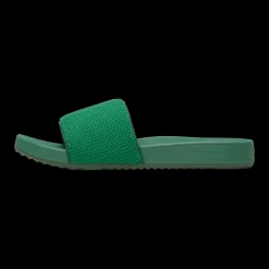 Men's Allbirds Slide